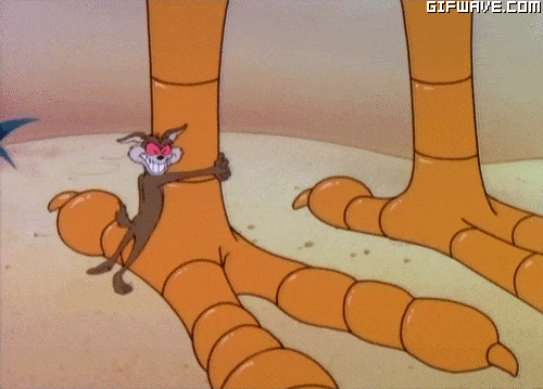 coyote-catches-roadrunner